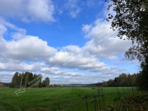 Миниатюра 2, Земельный Участок 27 Га у озера, 2 707 соток, Ленинградская область, Выборгский район, Поляны(п.Заполье) снт