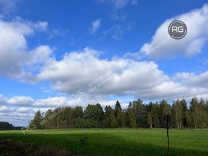 Миниатюра 4, Земельный Участок 27 Га у озера, 2 707 соток, Ленинградская область, Выборгский район, Поляны(п.Заполье) снт