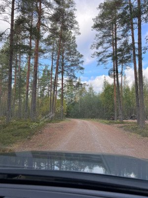 Миниатюра 6, Земельный Участок 27 Га у озера, 2 707 соток, Ленинградская область, Выборгский район, Поляны(п.Заполье) снт