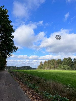 Миниатюра 5, Земельный Участок 27 Га у озера, 2 707 соток, Ленинградская область, Выборгский район, Поляны(п.Заполье) снт