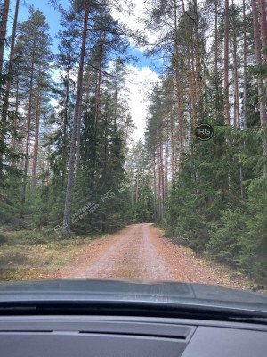 Миниатюра 7, Земельный Участок 27 Га у озера, 2 707 соток, Ленинградская область, Выборгский район, Поляны(п.Заполье) снт