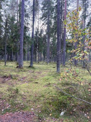 Миниатюра 9, Земельный Участок 27 Га у озера, 2 707 соток, Ленинградская область, Выборгский район, Поляны(п.Заполье) снт